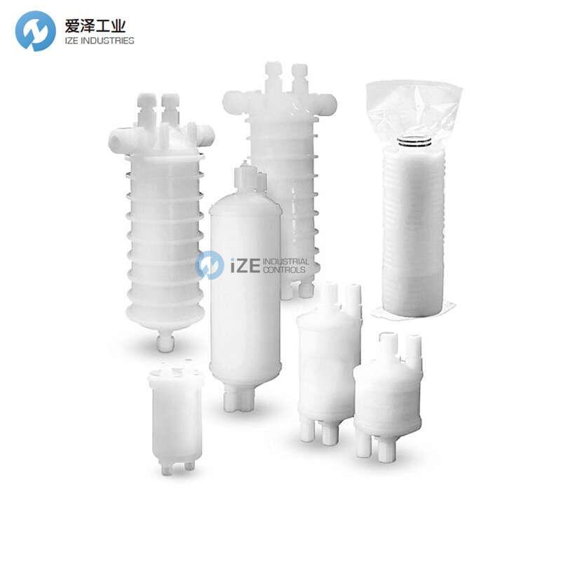 ENTEGRIS垫片式过滤器WGPMOGGT2