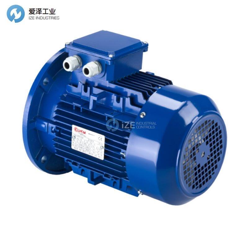 ELVEM电机6SM63B2