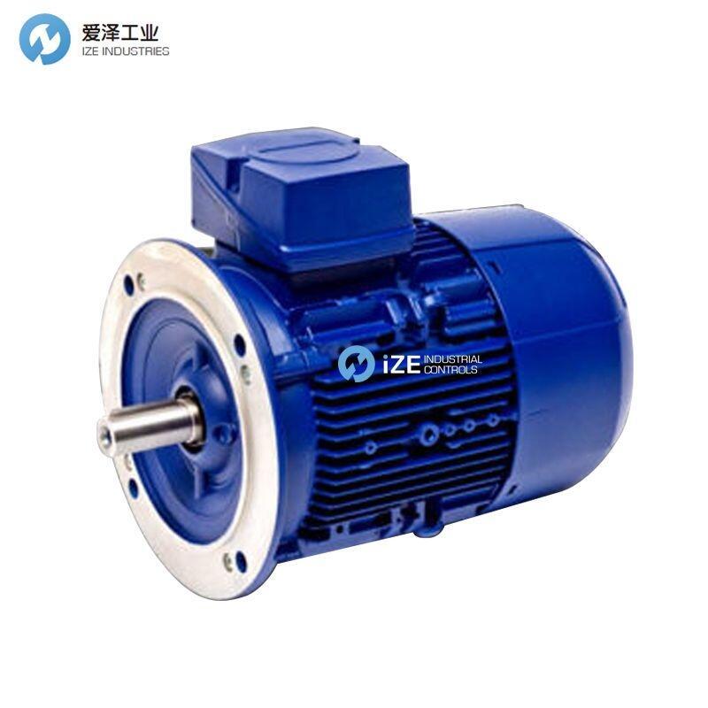 ROBERT BIRKENBEUL电机6APE160M-6-IE2