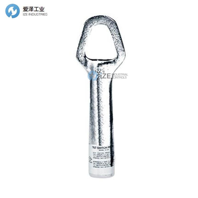 THERMO RAMSEY传感器20-59-NM-8M