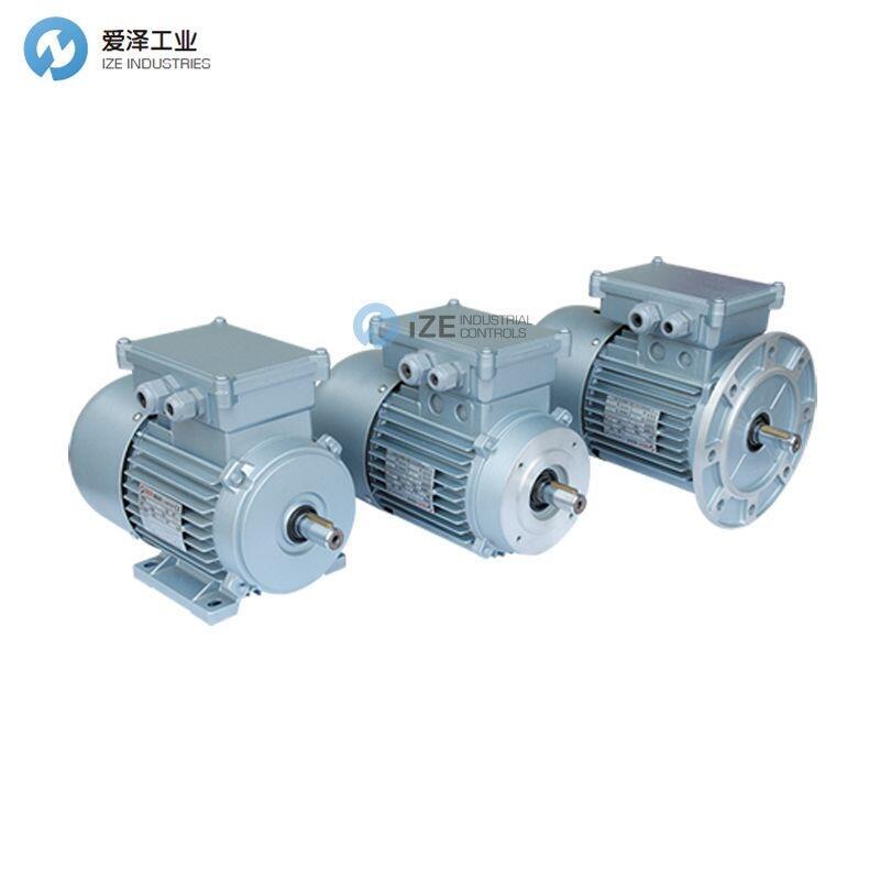 BER-MAR电机AF.71.S4.5000