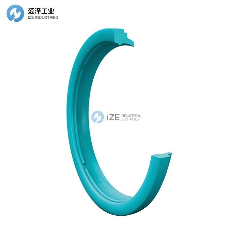 BUSAK+SHAMBAN密封圈WSW001200-WUAQ3