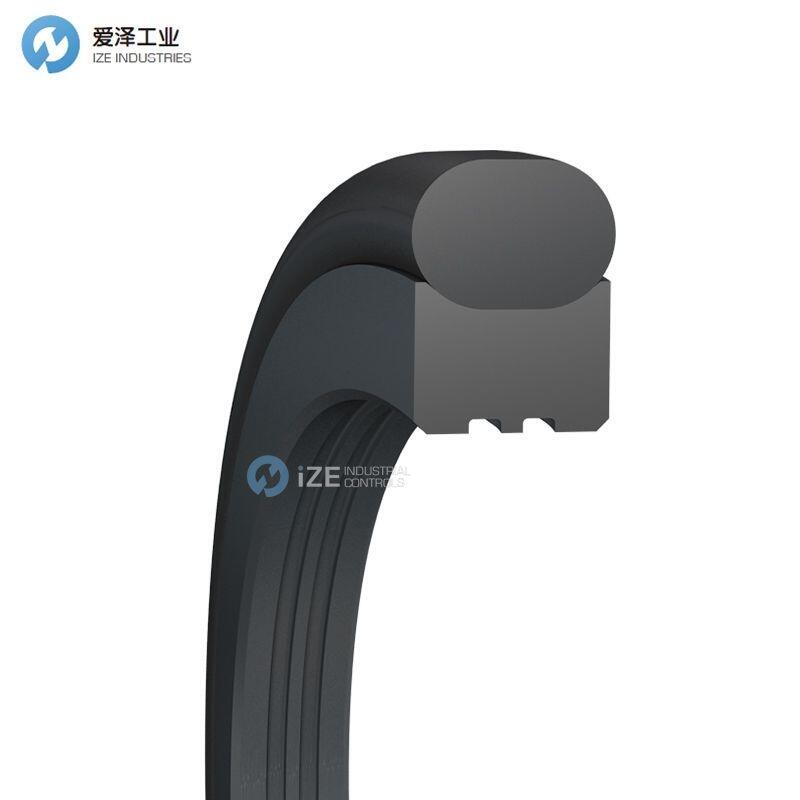 BUSAK+SHAMBAN(B+S)格莱圈TG3200900-T10N