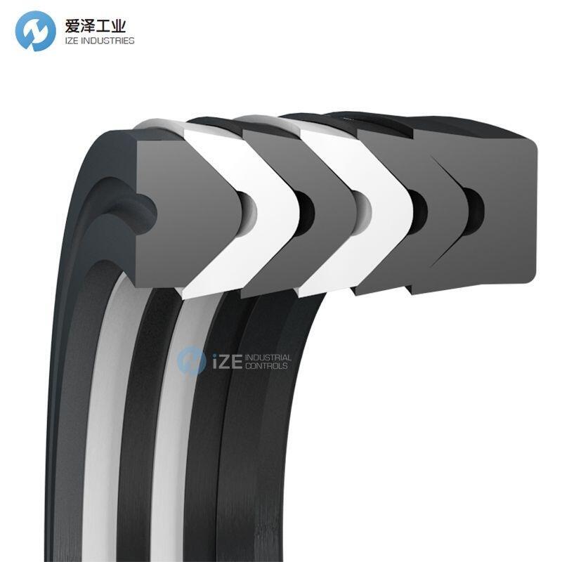 BUSAK+SHAMBAN夹布V型封RCH002200-N0O0C