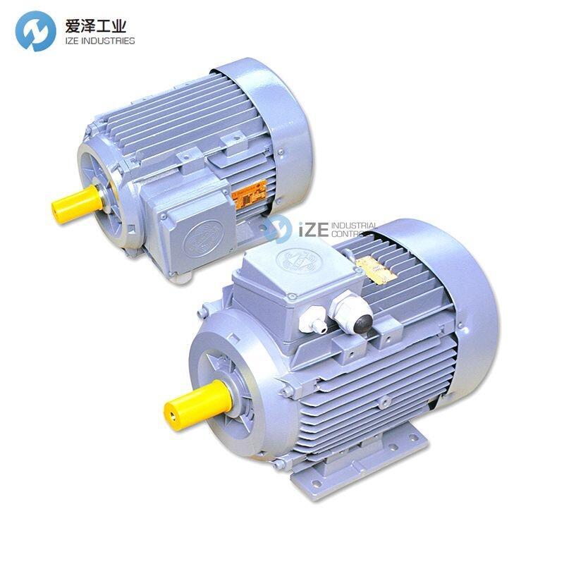 BEHNCKE电机Q3HFA100L4D40