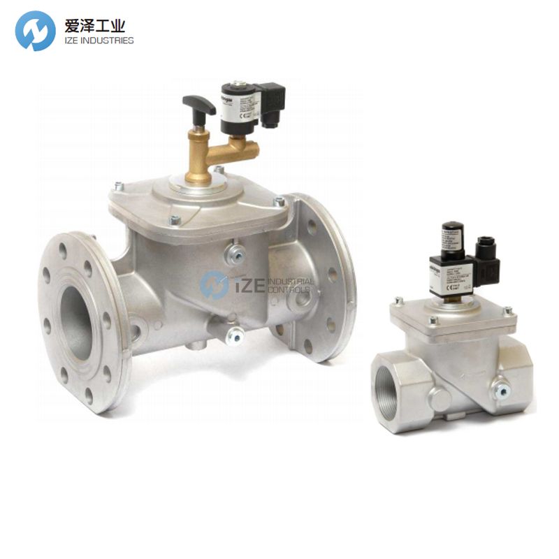 ELEKTROGAS安全阀EVRM6NC95